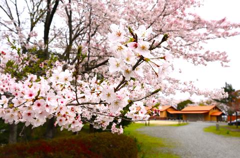 写真ニュース福岡県嘉穂郡桂川町公式ホームページ